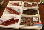 sakana08121314.jpg